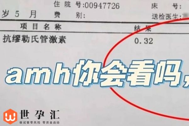 amh 检查在试管中有什么作用，可以判断移植的最佳时机(图1)