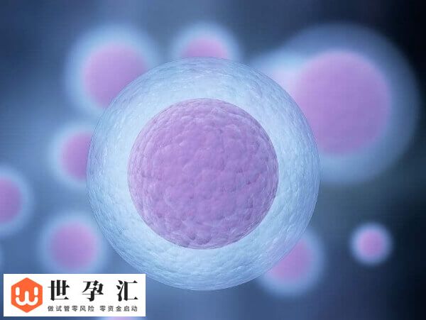 拮抗剂方案移植鲜胚的最佳时间是取卵后的第3天吗？(图1)