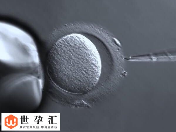 10c4胚胎是不是优质的(图2)