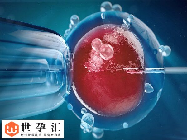 肾积水试管移植两个囊胚有没有影响
