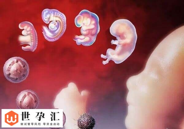 9c4胚胎有没有必要移植(图1)