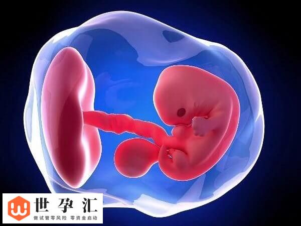 胚胎10c3养囊能否成功(图2)