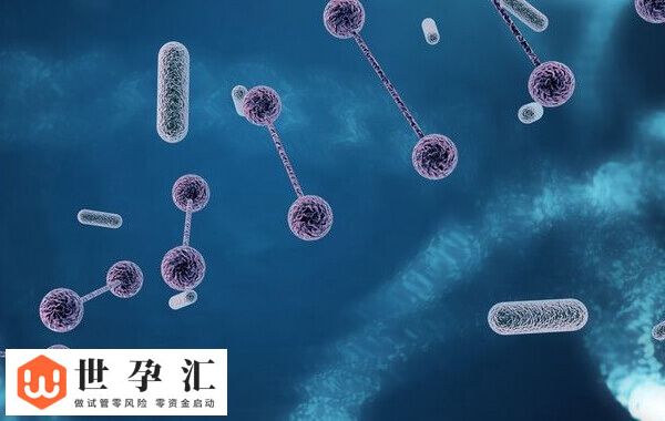 胚胎10c3养囊能否成功(图3)