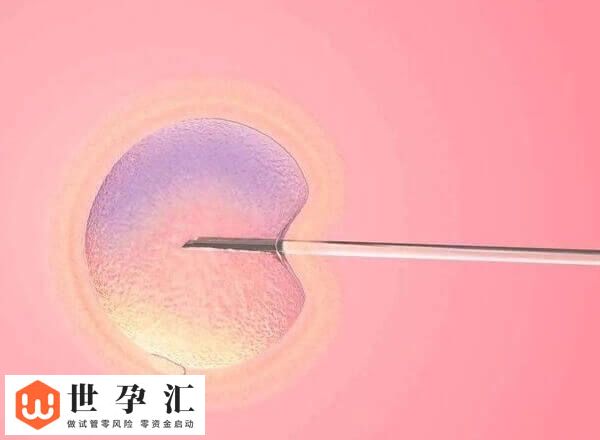 胚胎移植后出血正不正常(图1)