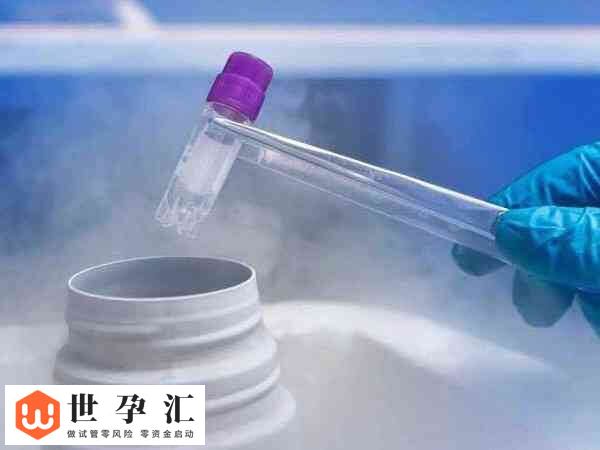 胚胎移植后出血正不正常(图3)
