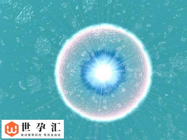 子宫切除怎么做试管怀孕(图1)