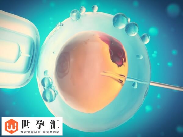 试管孩子是不是真的智商低(图1)