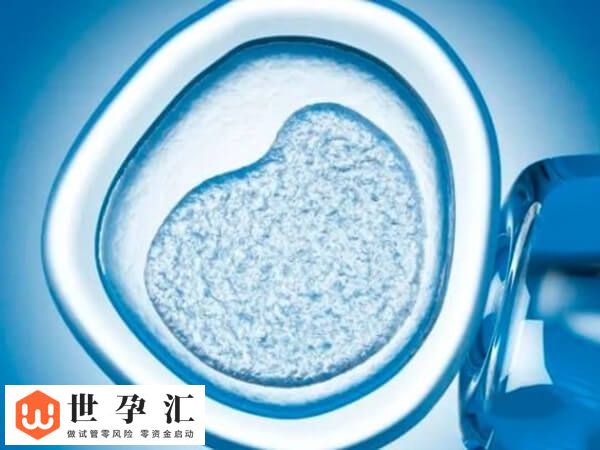 试管进周前血压高怎么办