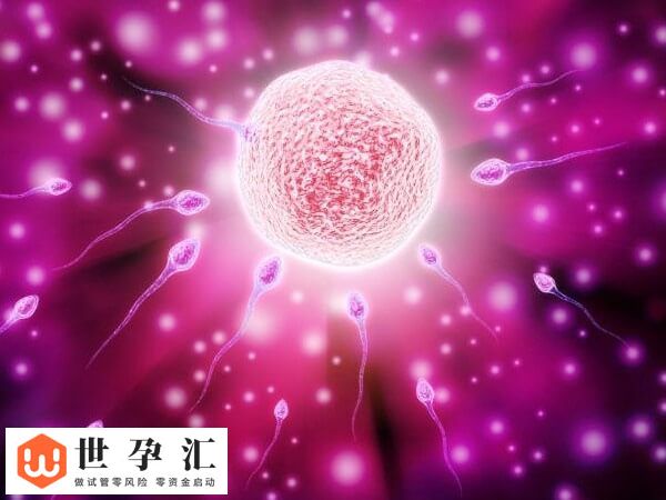试管移植后耳鸣是不是成了(图1)