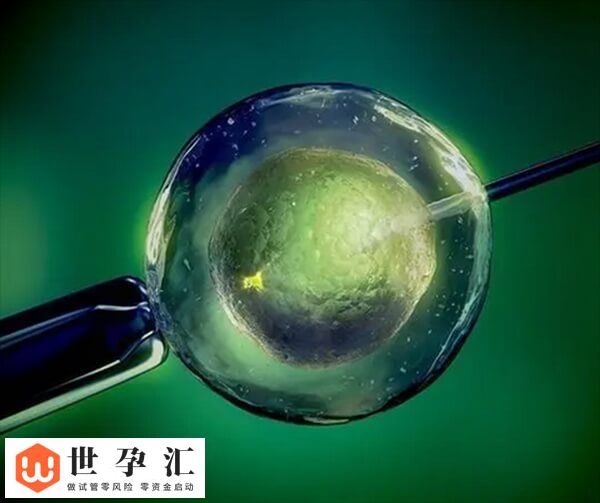 试管移植后盗汗正不正常(图1)