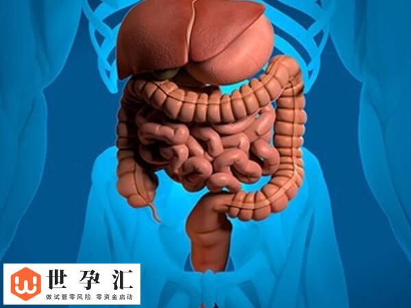 试管移植后肠痉挛正不正常(图1)