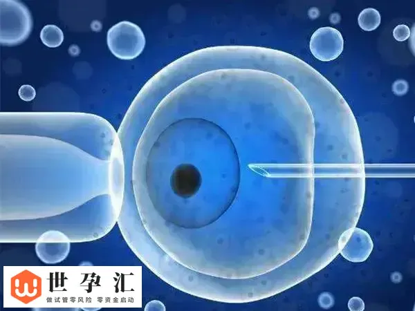 促排期间如何提高卵子质量(图1)