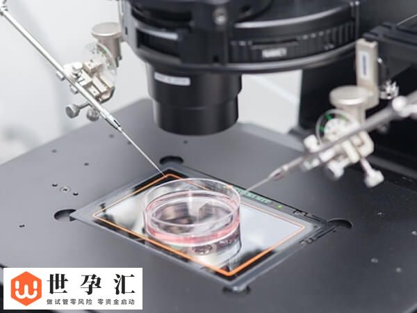 第四代试管婴儿技术是什么(图1)