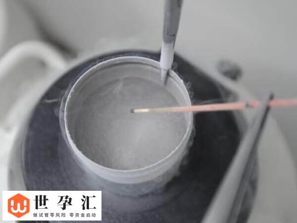 第四代试管婴儿技术是什么(图2)