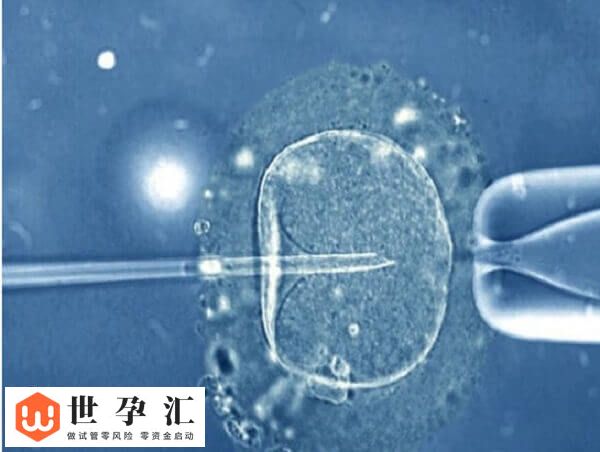 三代试管移植成功了要注意什么(图2)