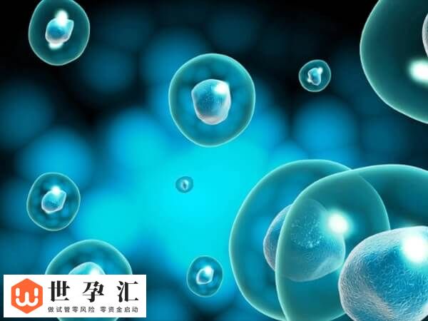 胚胎移植后胎停重新怀孕注意事项有哪些(图1)
