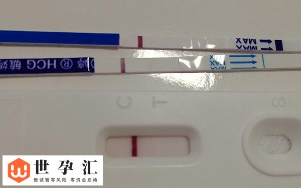 移植囊胚4bb第7天测白板有没有希望(图1) 移植囊胚4bb第7天测白板有没有希望(图1)