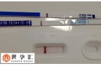移植囊胚4bb第7天测白板有没有希望